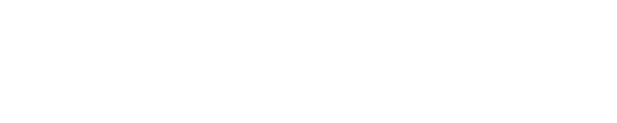 FERDYN
